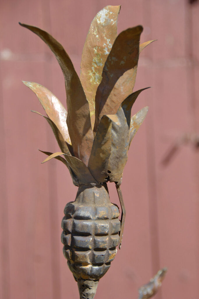 Pineapple Plant Detail